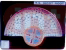 DICOT ROOT T.S.